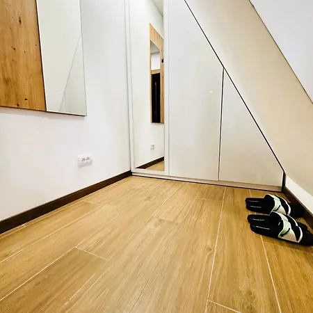 Appartamento Penthouse Borovi *