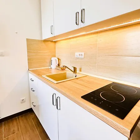Appartamento Penthouse Borovi