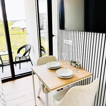 Appartamento Penthouse Borovi *