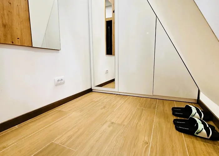 Lejlighed Penthouse Borovi *