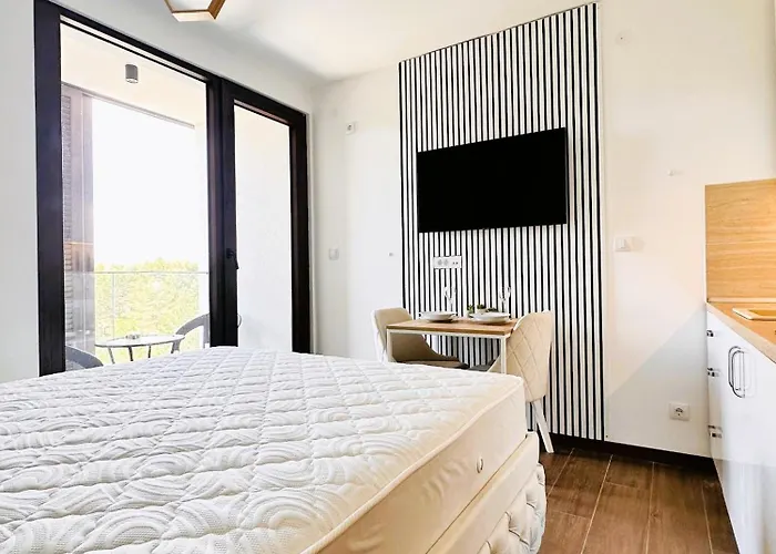 Penthouse Borovi Lejlighed *