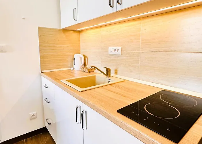 Lejlighed Penthouse Borovi