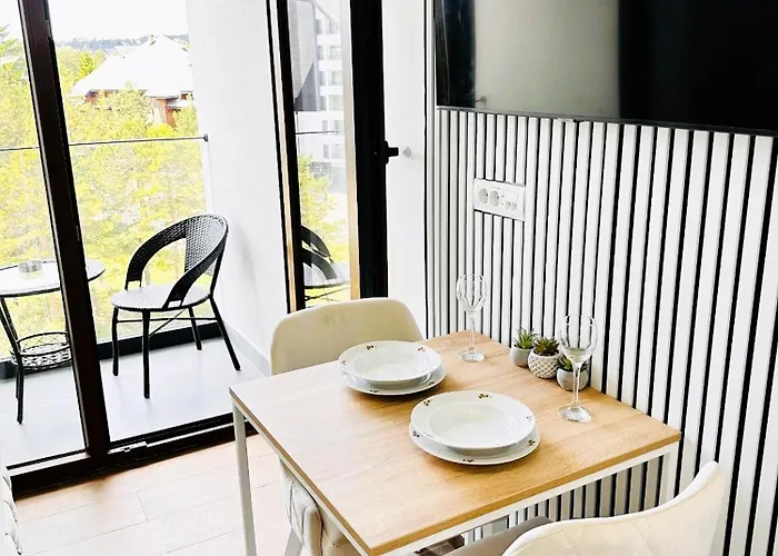 Lejlighed Penthouse Borovi *